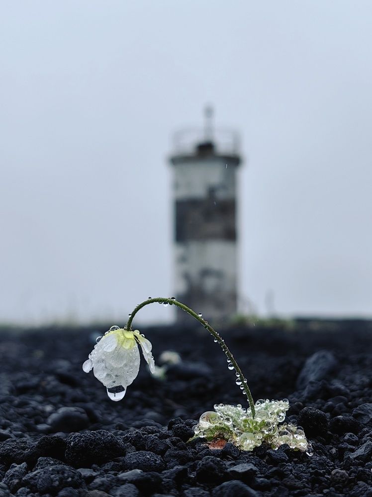 Photograph by Екатерина Исаева