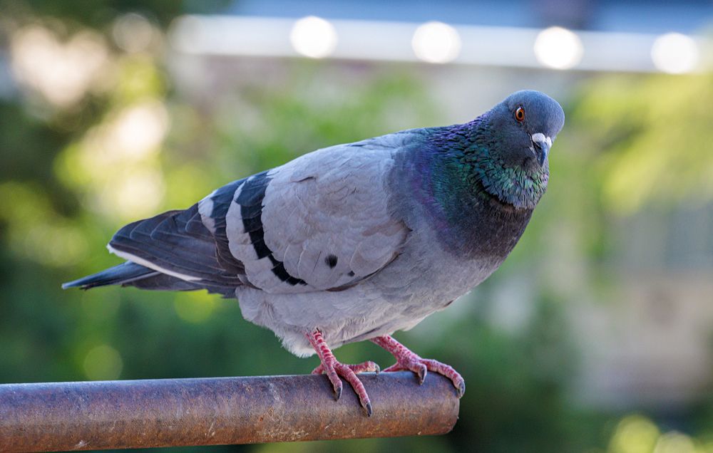 Photograph by Alex Kalpus