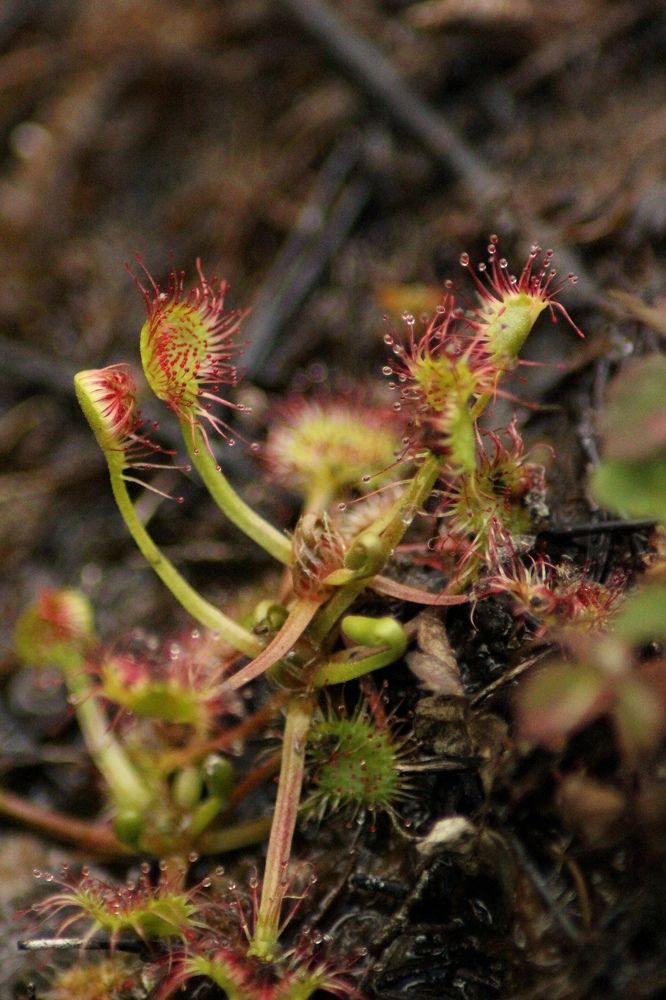 Photograph by Софья Белова