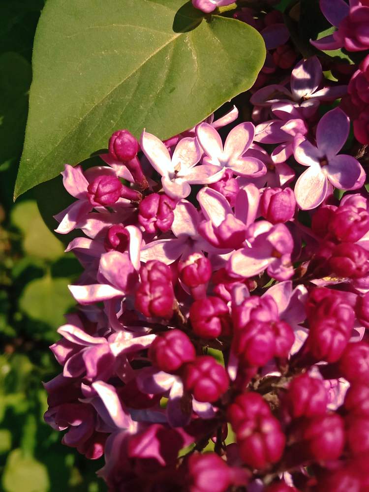 Photograph by Наталья Донковцева