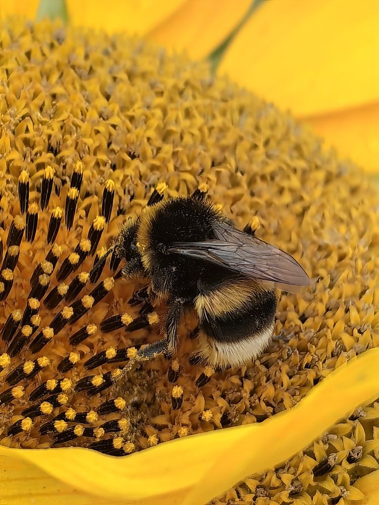 Photograph by Елена Акимова