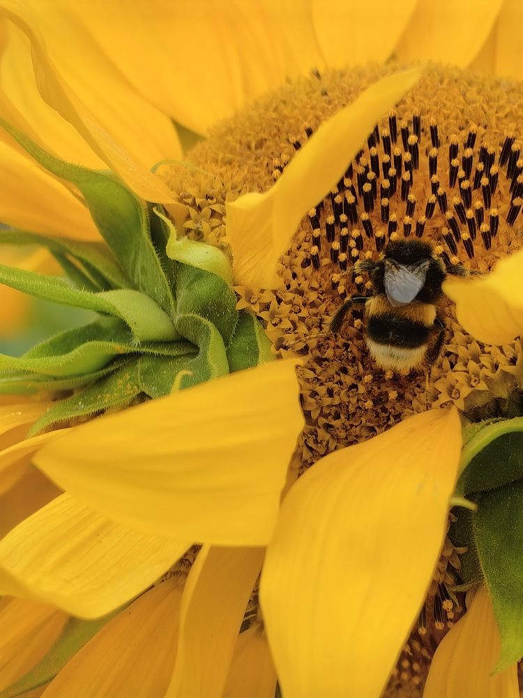 Photograph by Елена Акимова