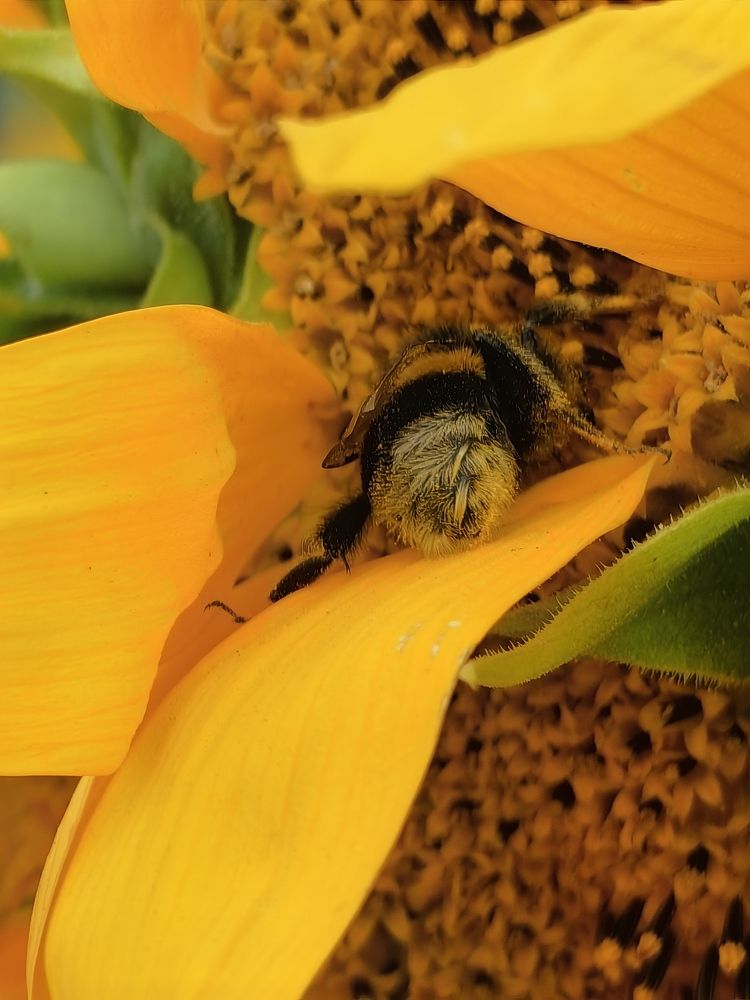 Photograph by Елена Акимова