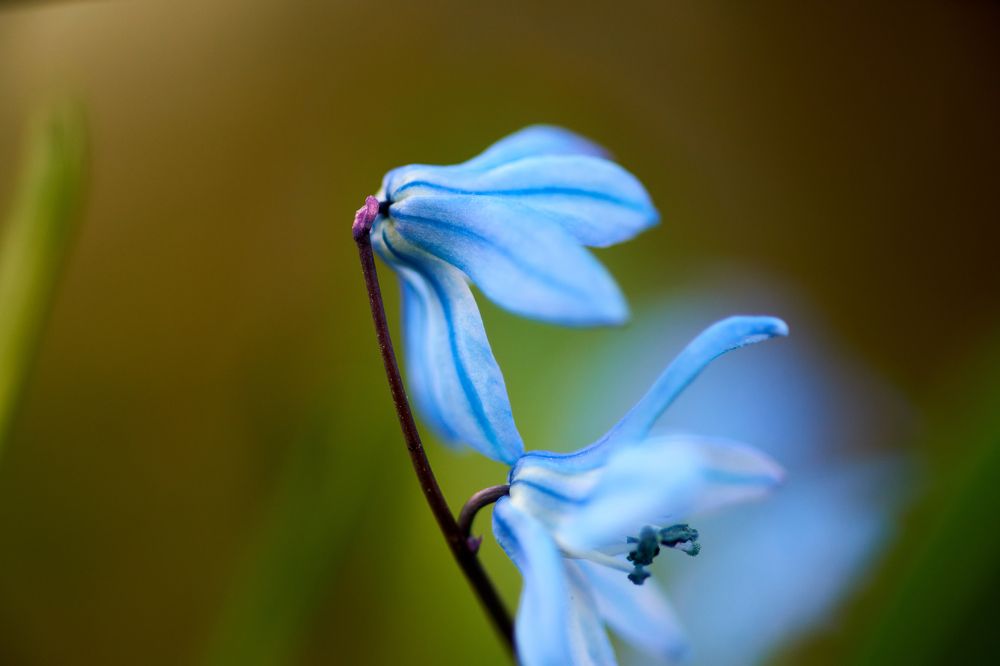 Photograph by Игорь Кад