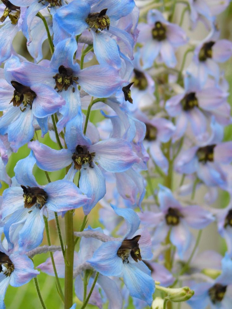 Photograph by Татьяна Колчанова