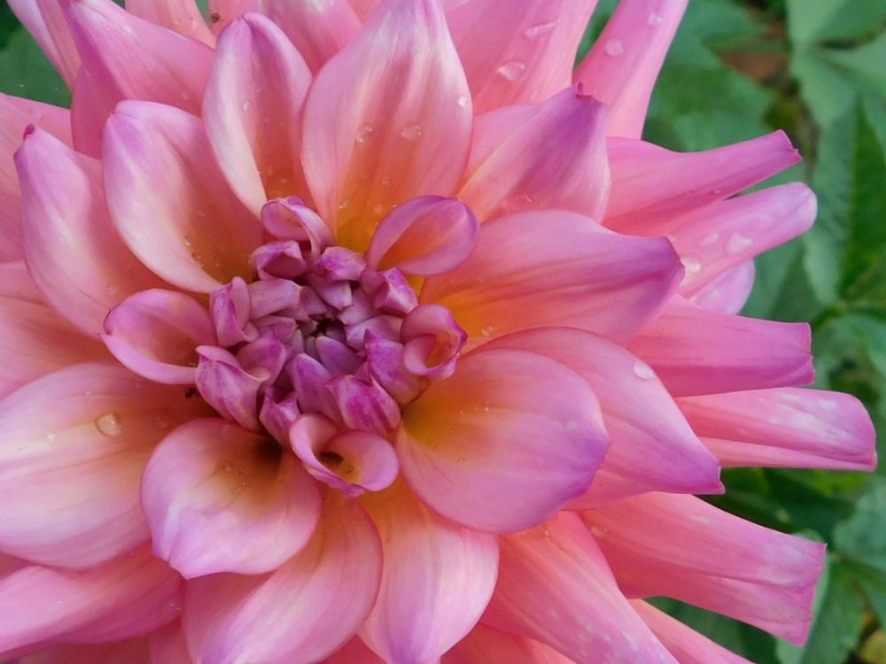 Photograph by Татьяна Колчанова