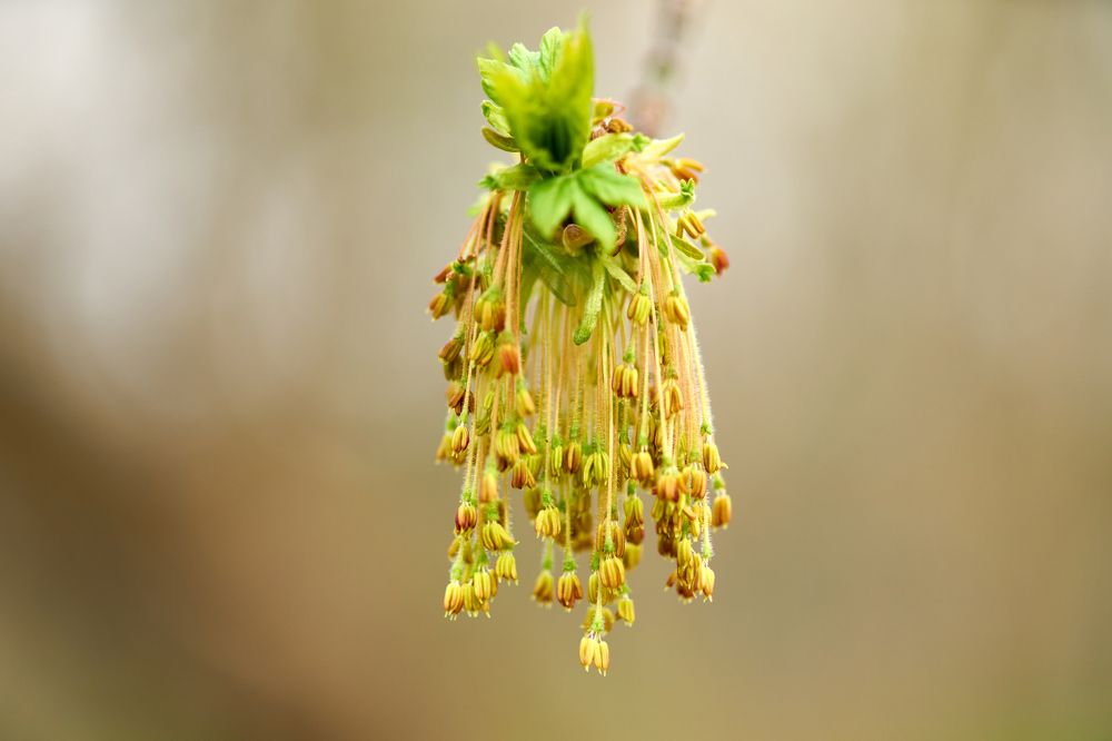 Photograph by Игорь Кад