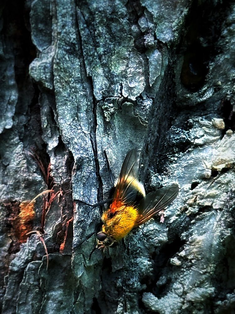 Photograph by Stanislav Borodinov