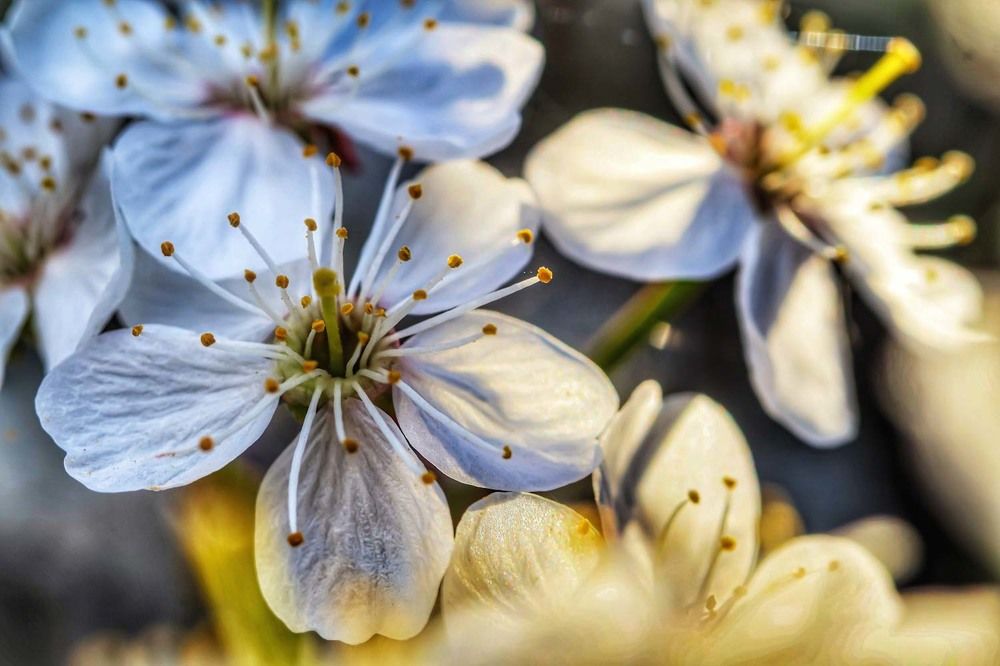 Photograph by Сергей Назаредский