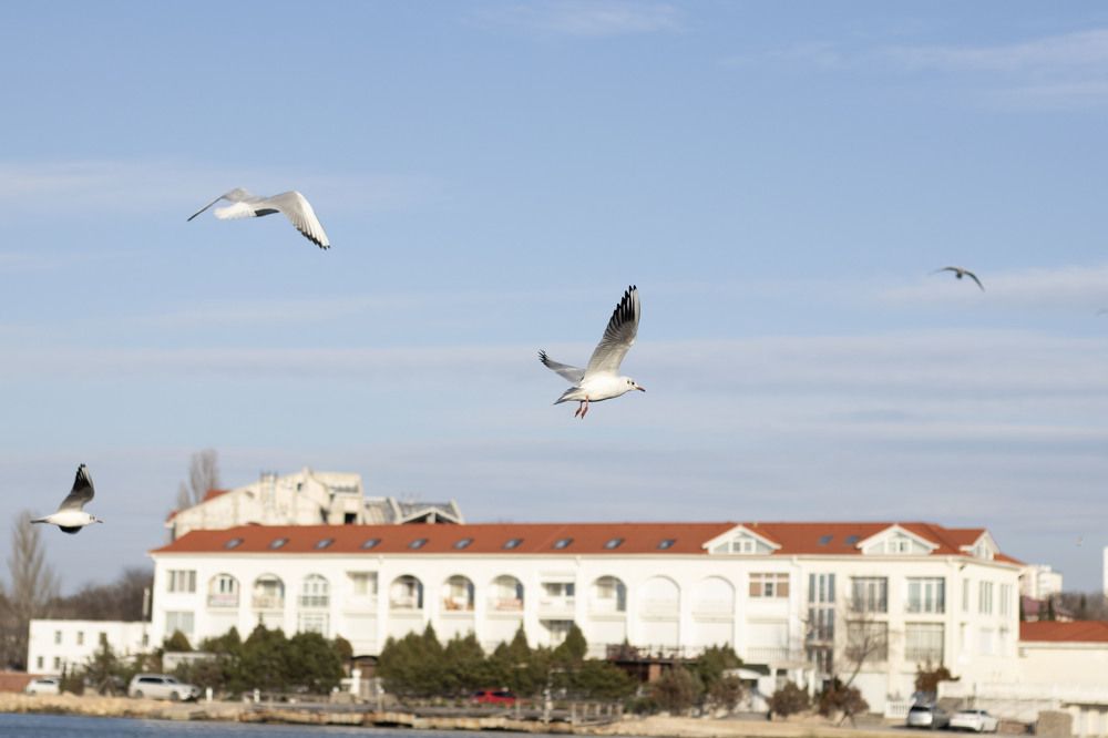 Photograph by Ксения Золотарь