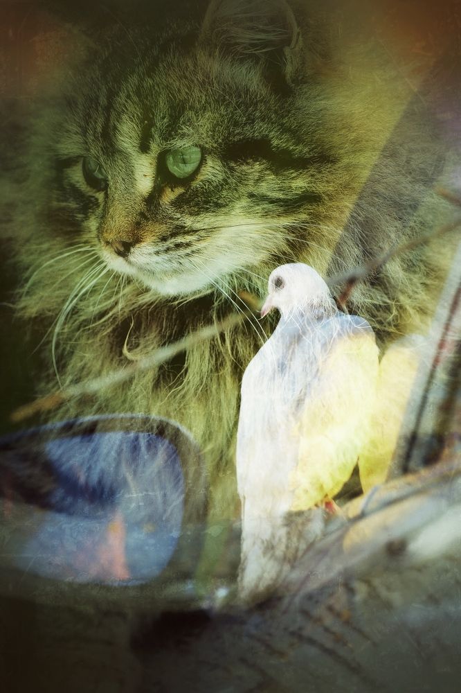 Photograph by Алексей Большаков