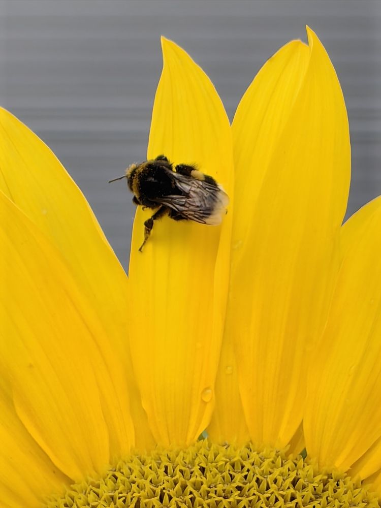 Photograph by Елена Акимова