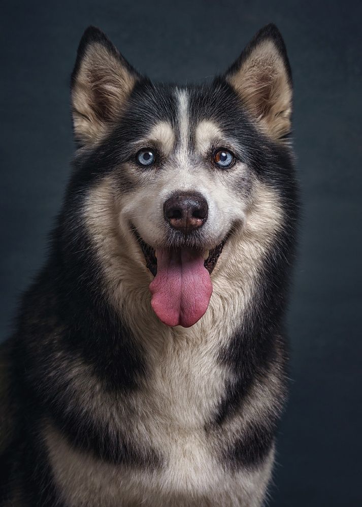 Photograph by Антон Тимошевский