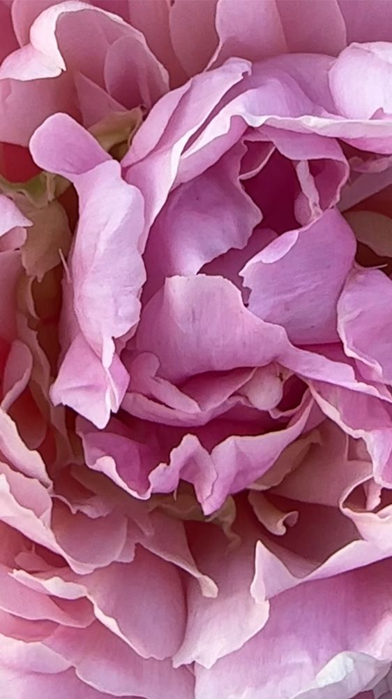 Photograph by Марина