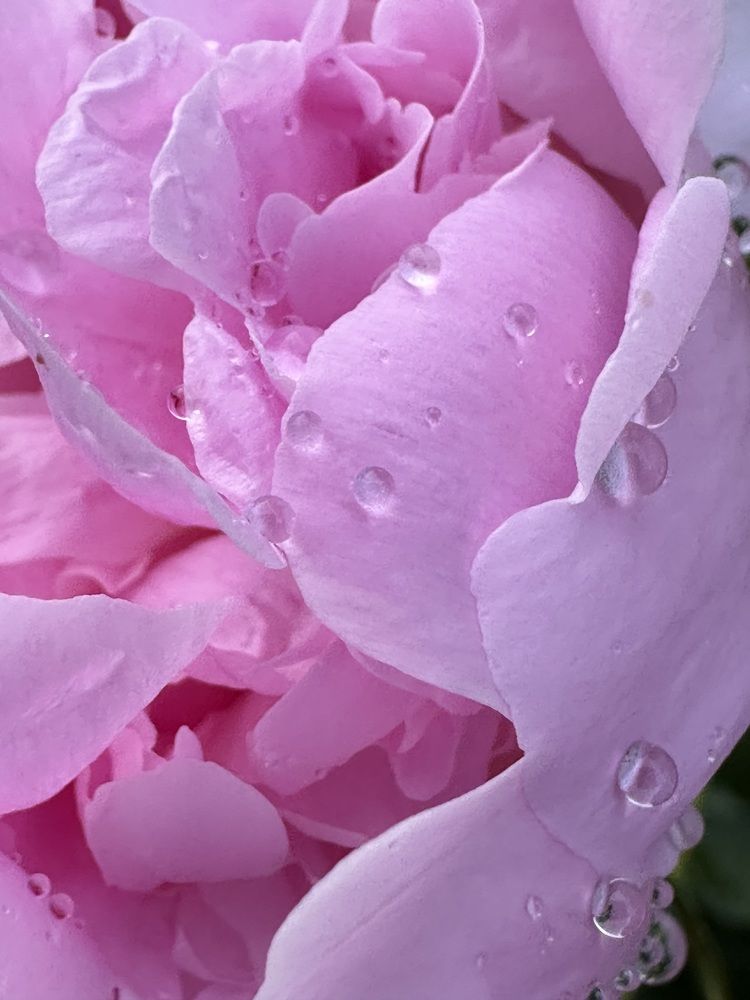 Photograph by Марина