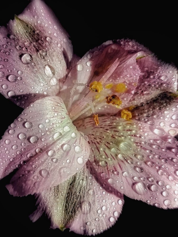 Photograph by Yuliya Karpova