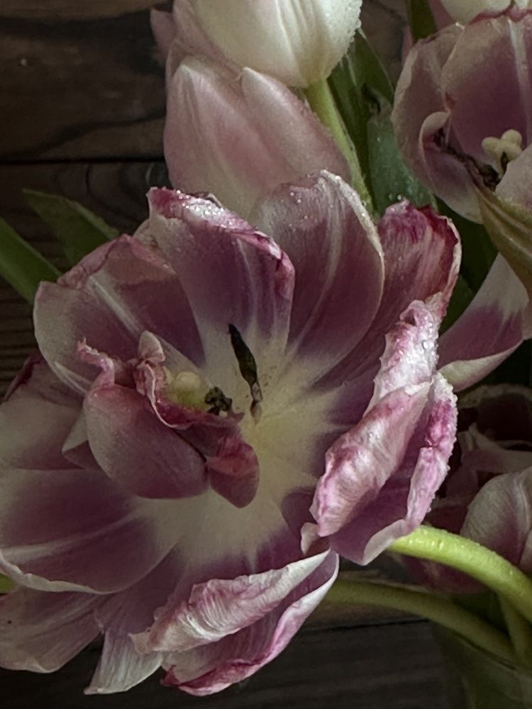 Photograph by Марина