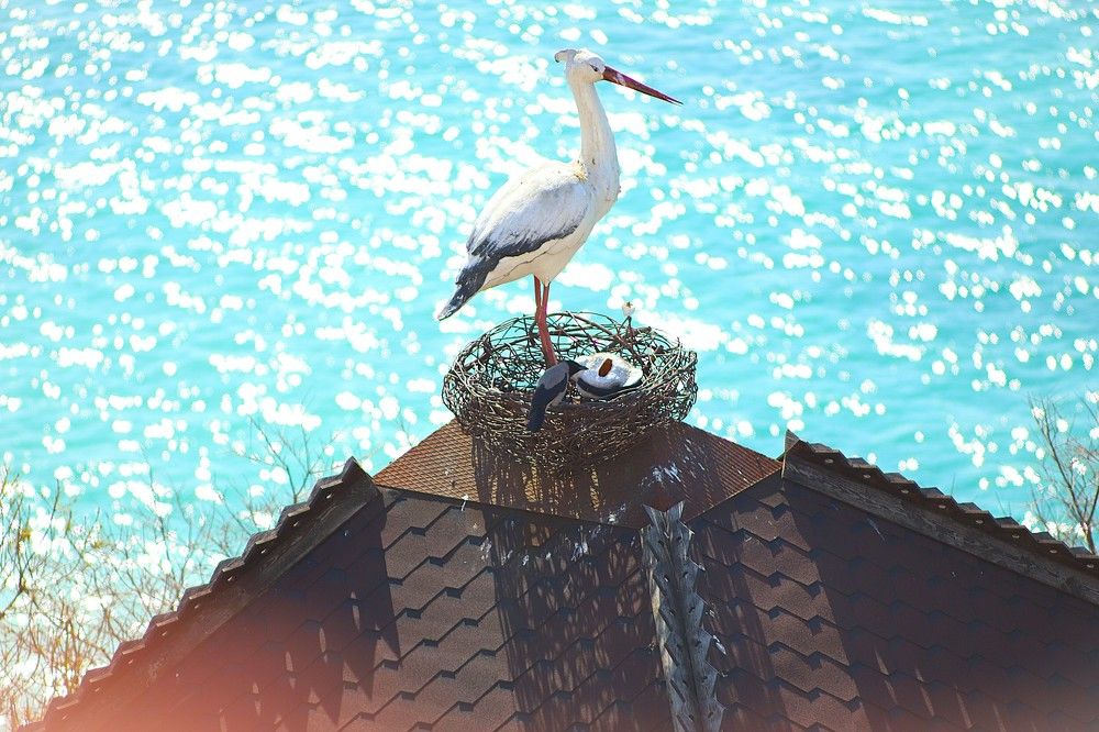 Фотография автора Михаил Лупина