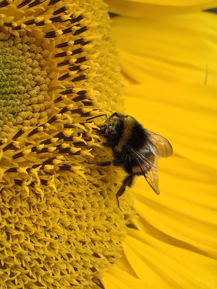 Photograph by Елена Акимова