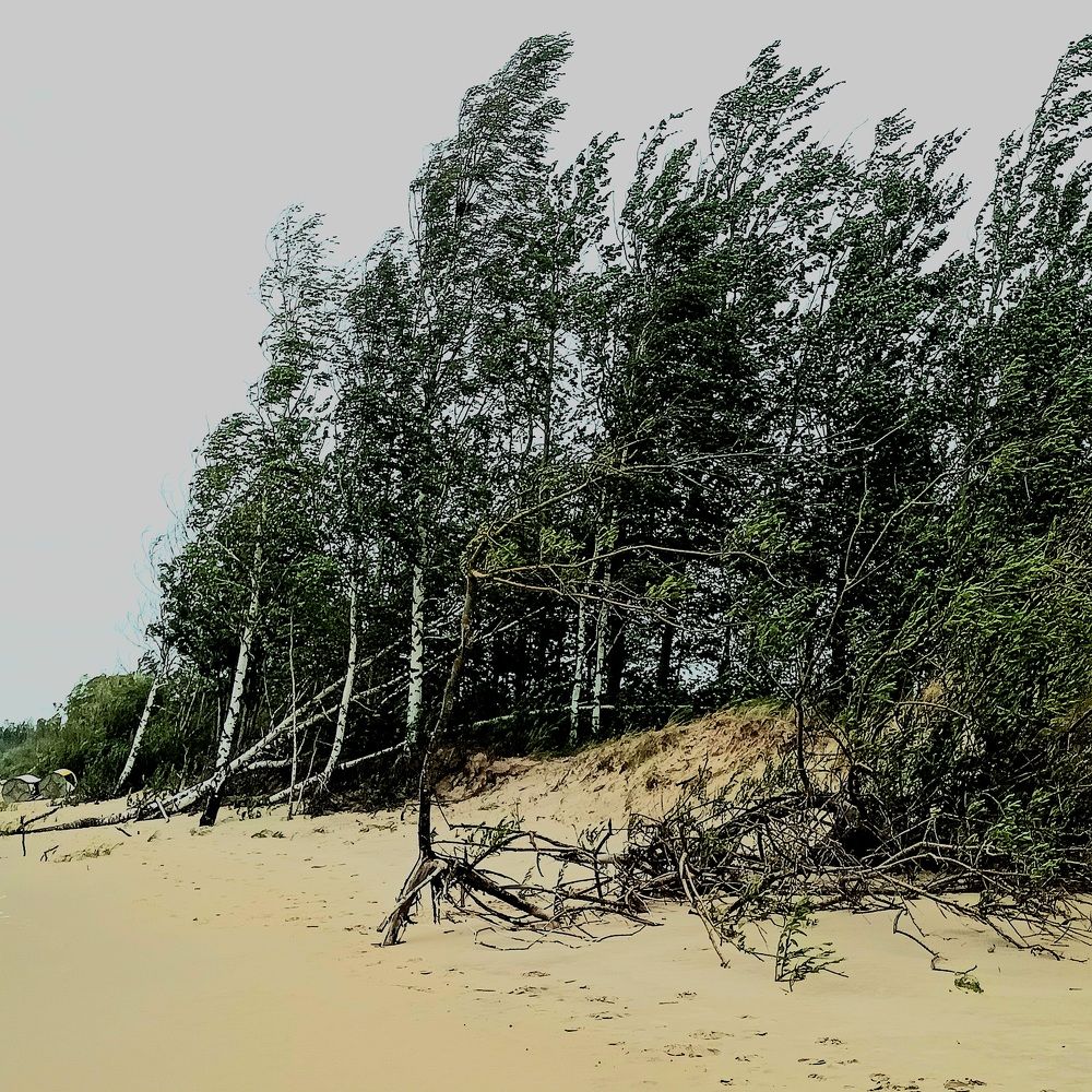 Фотография автора Maks Lanister