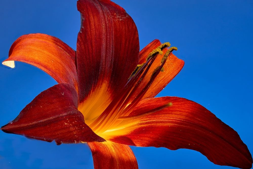 Photograph by Владимир