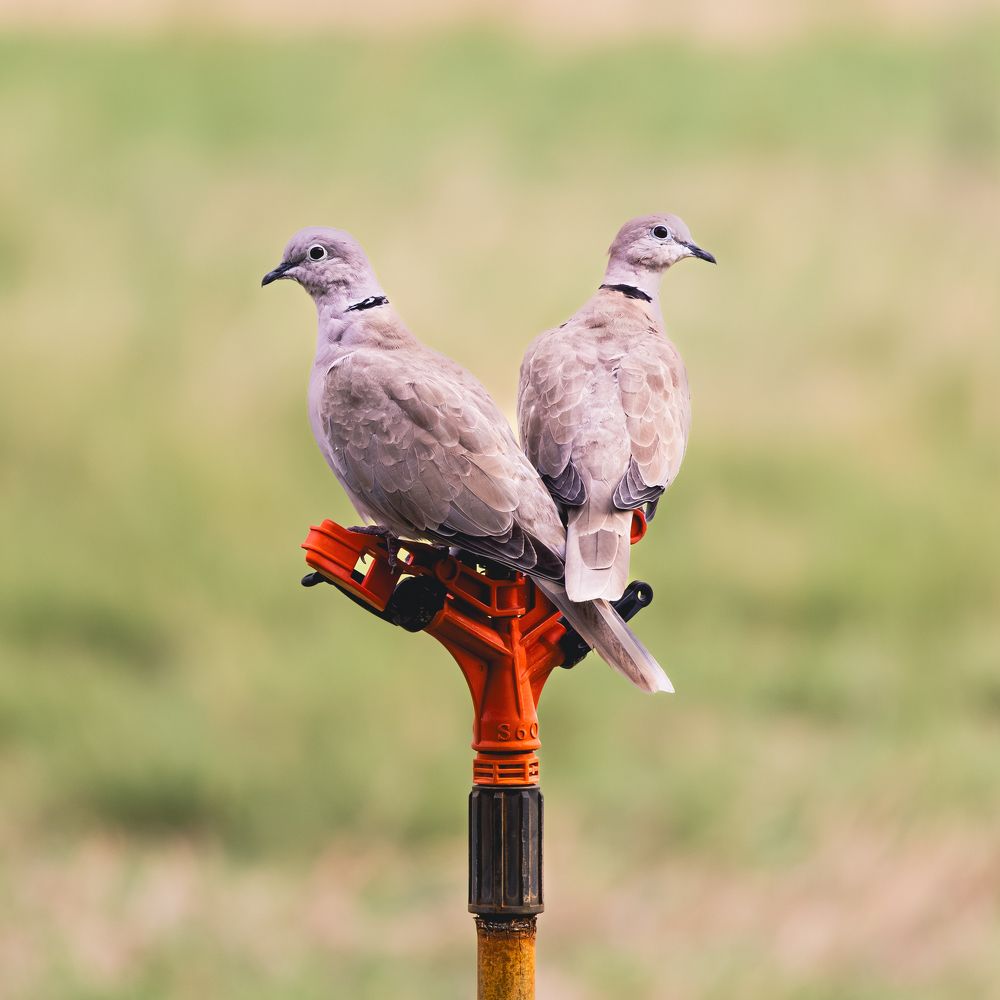 Photograph by Гукасян Геворк