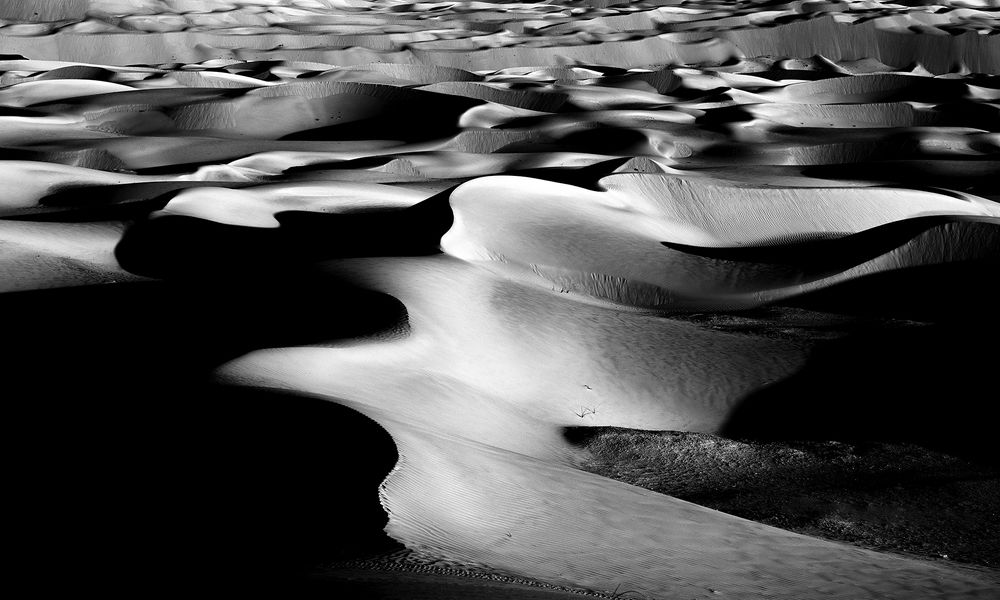 Photograph by Mohamed Noufal