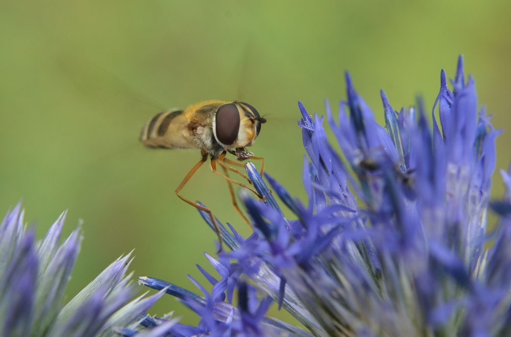 Photograph by Алексей Volg