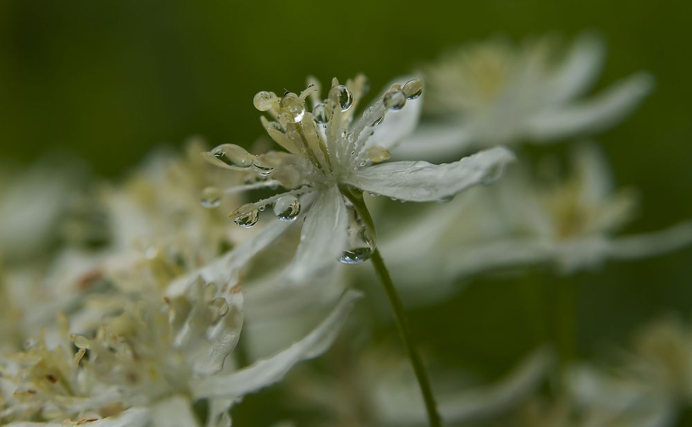 Photograph by Наталья Дроздова