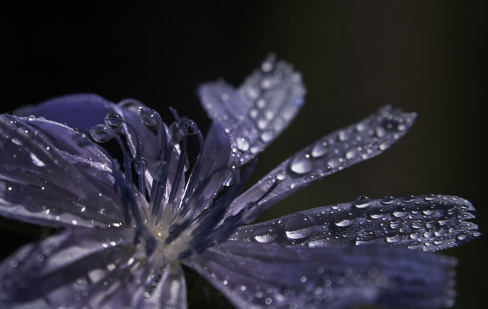 Photograph by Наталья Дроздова