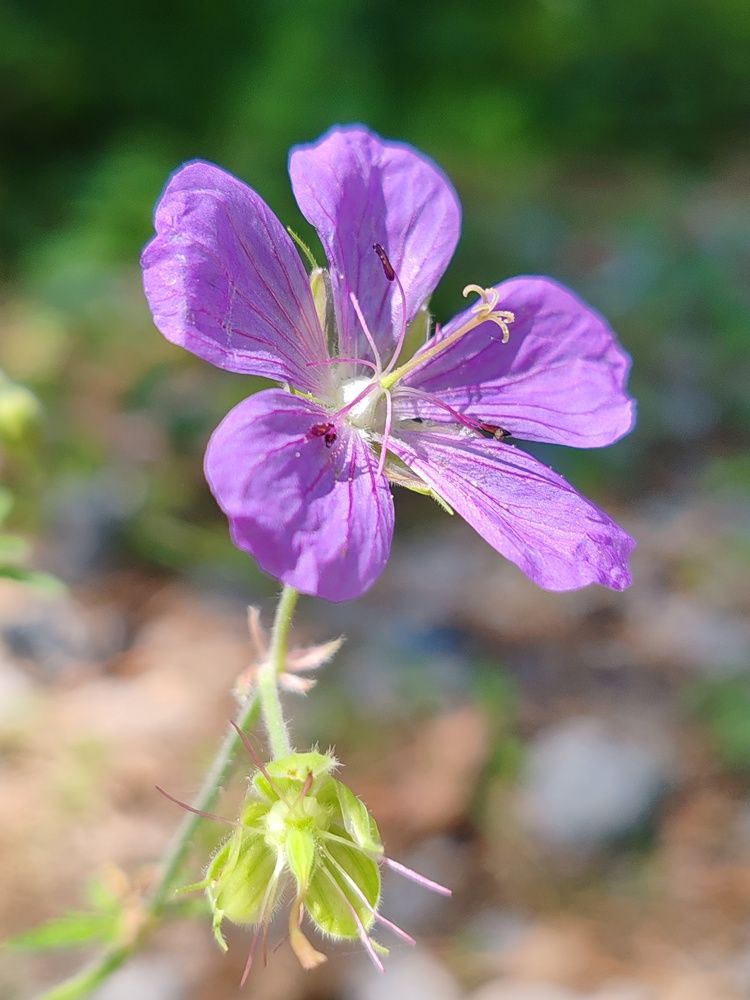 Photograph by Наталья Круглова