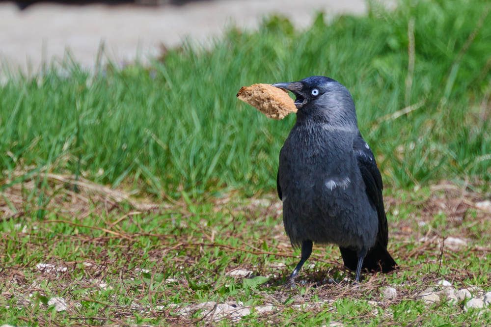 Photograph by Дмитрий Солодухин