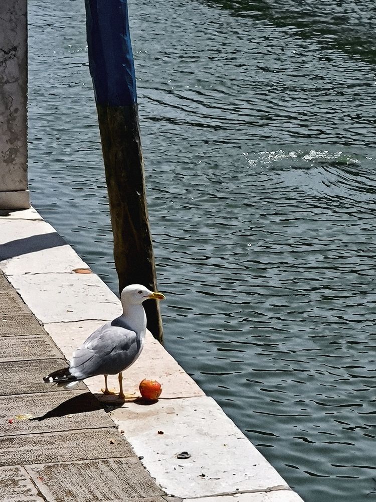 Photograph by Ksenija Bartoško