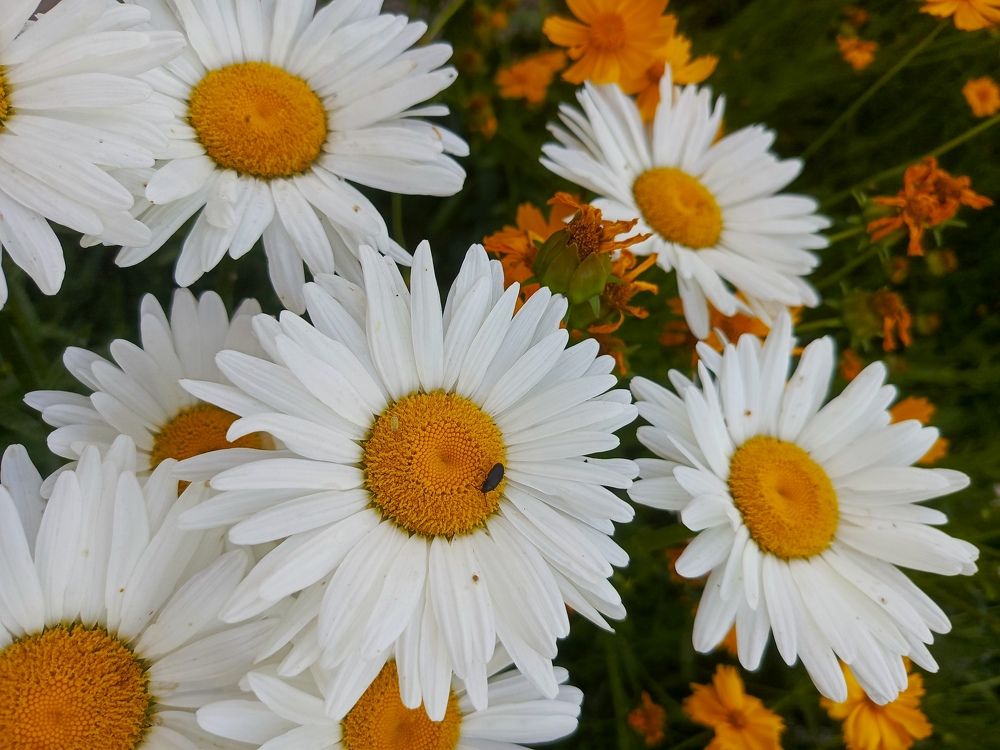 Photograph by Татьяна Пальчикова