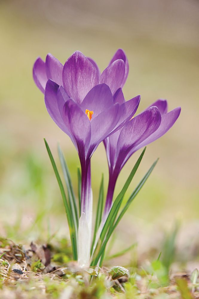 Photograph by Антон Леонов