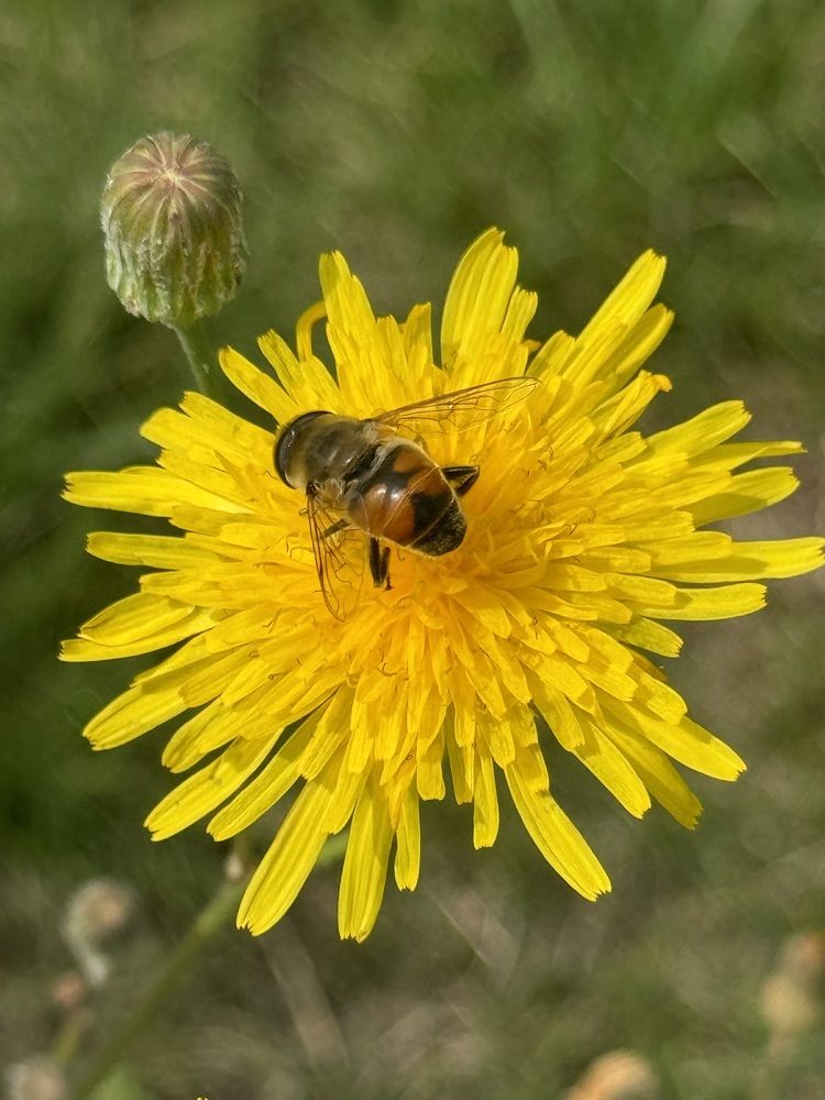 Photograph by Олеся Кузьмичева