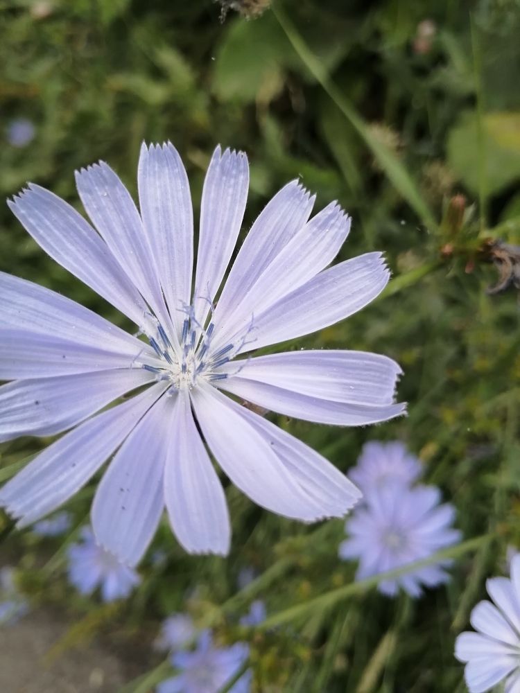 Photograph by Наталия