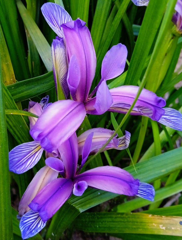 Photograph by Наталья Назаренко