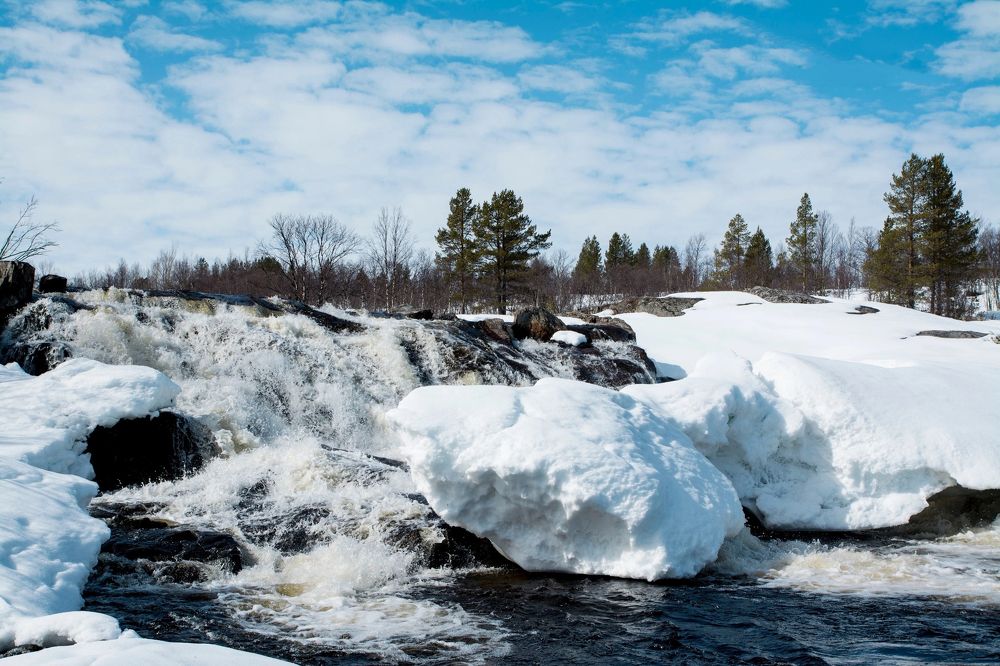Photograph by Ольга Яскунова