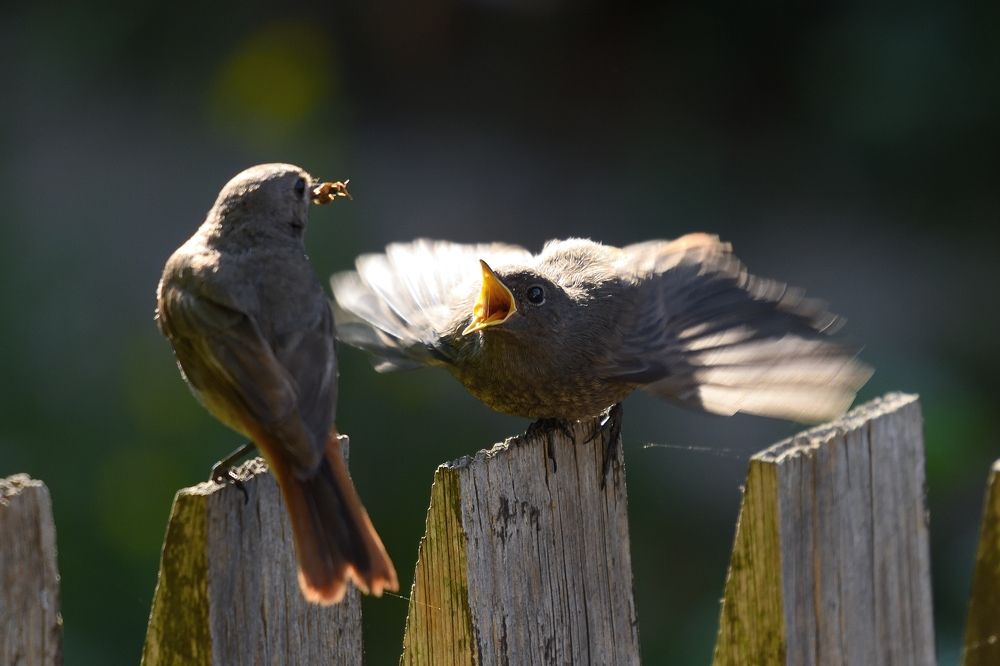 Photograph by Wydmuch Maciej