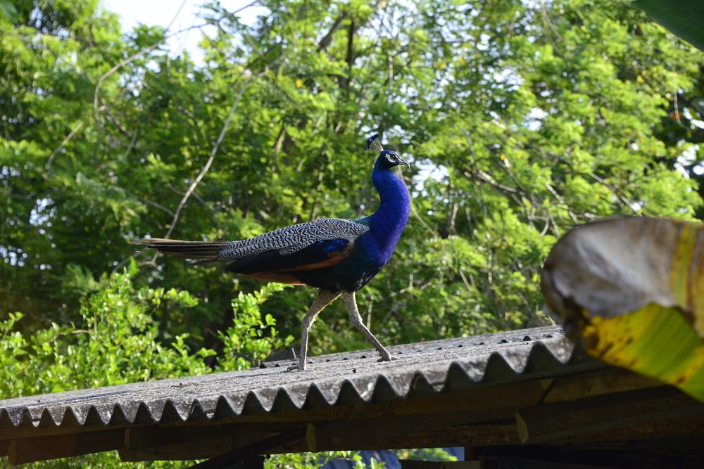 Photograph by Дмитрий Юдин