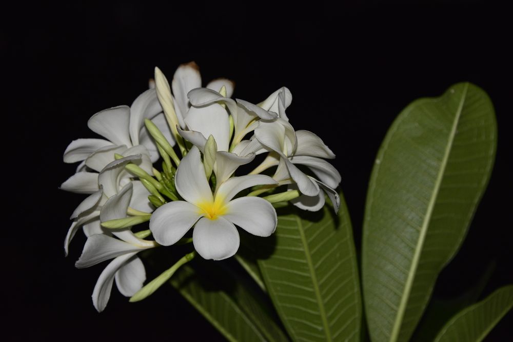 Photograph by Дмитрий Юдин