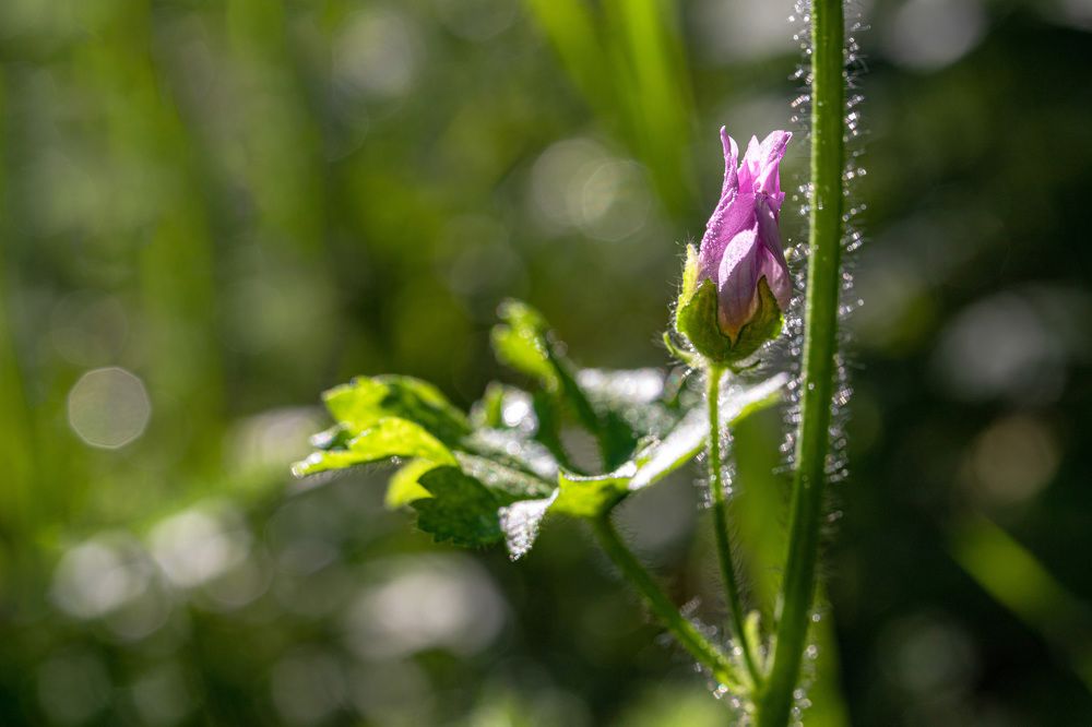 Фотография автора Ирина Гриценко