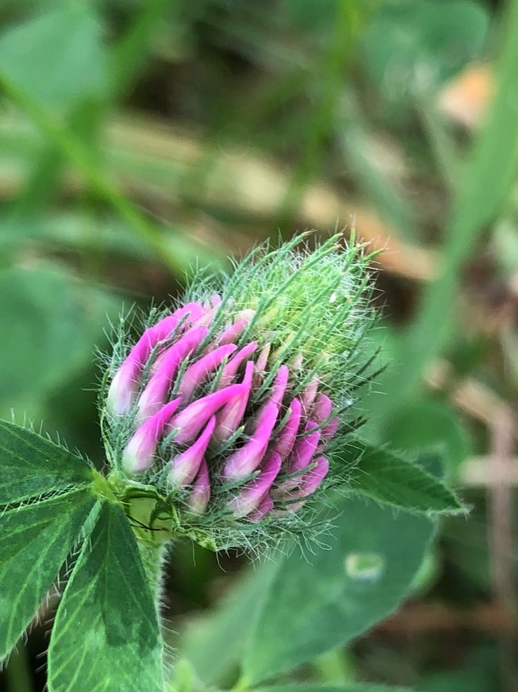 Фотография автора Светлана Гончарова