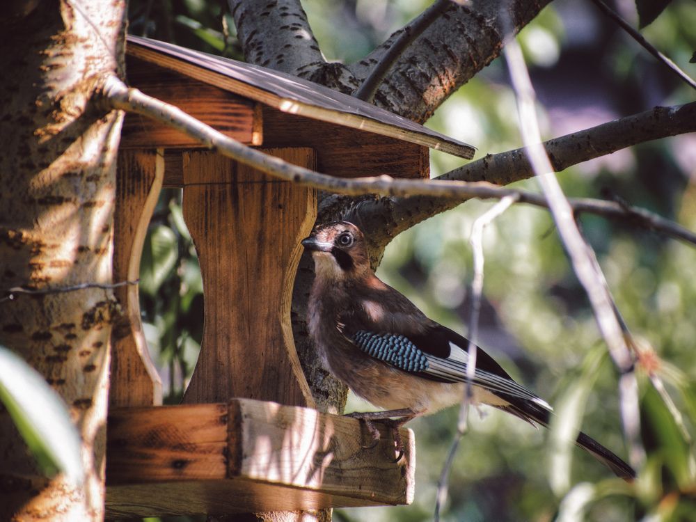 Photograph by Виктория Селютина