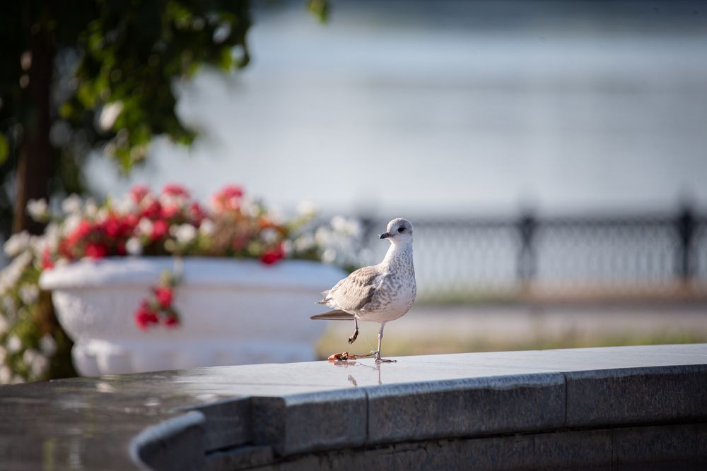 Photograph by наталья залогина