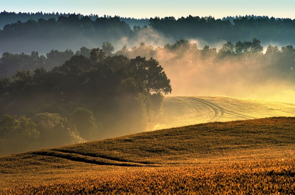 Photograph by Wydmuch Maciej