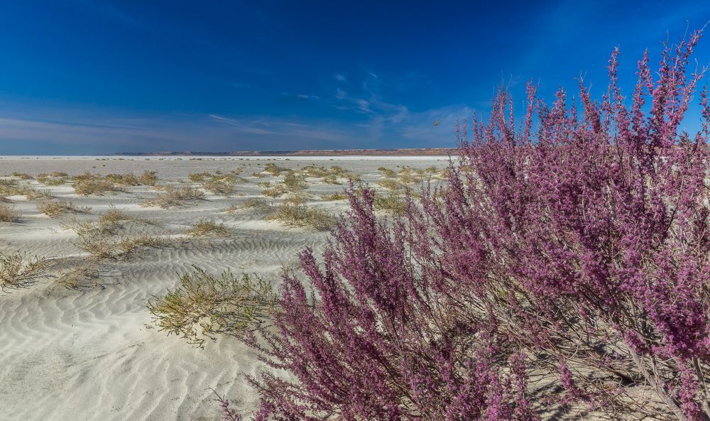 Photograph by Алексей Лазарев