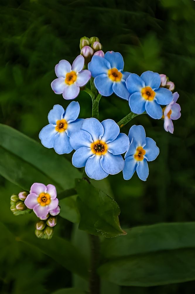 Photograph by Лора