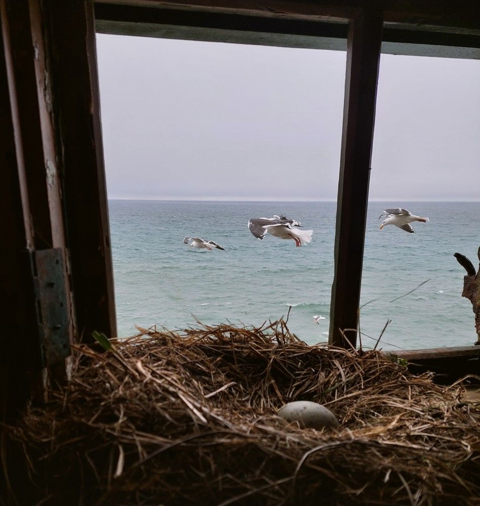 Photograph by Маринова Марина